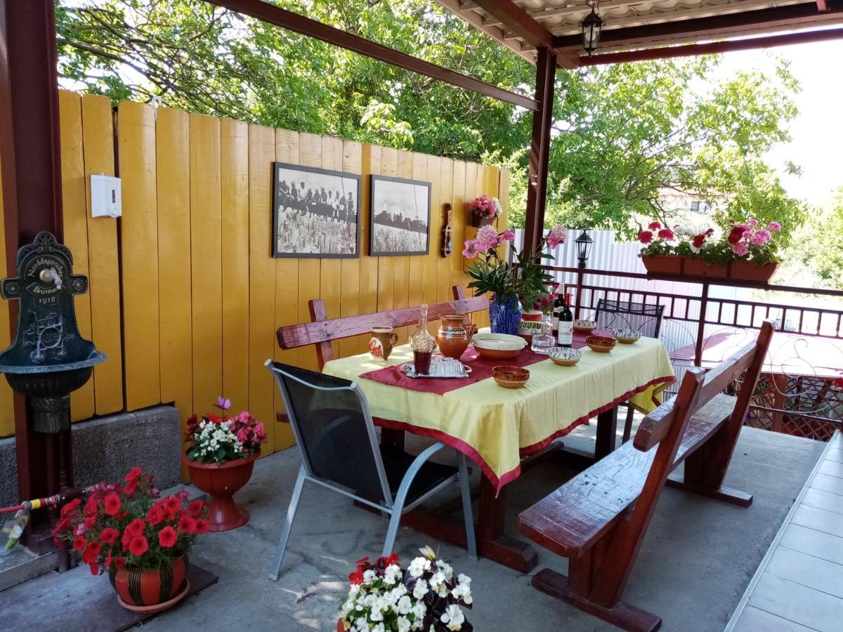 Casa Voica Apartment Turda Exterior photo