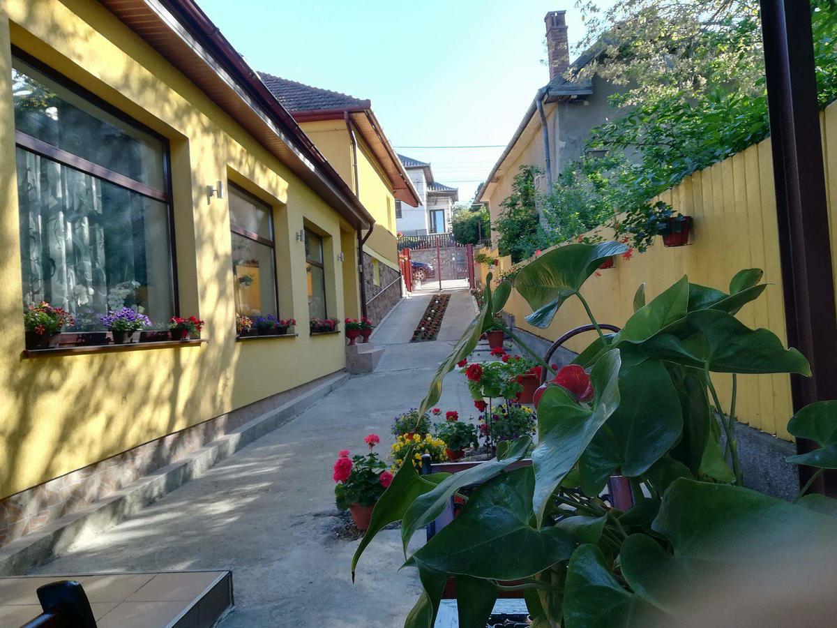 Casa Voica Apartment Turda Exterior photo