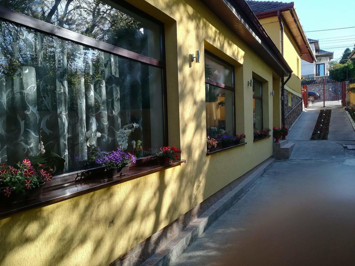 Casa Voica Apartment Turda Exterior photo
