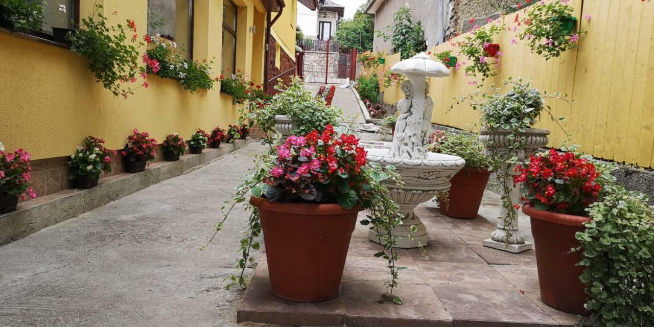 Casa Voica Apartment Turda Exterior photo